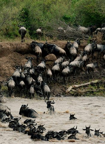 eastern-africa-kenya-and-zanzibar-047